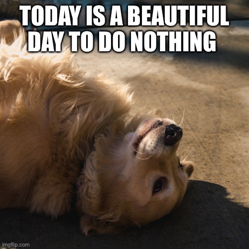 Yay | TODAY IS A BEAUTIFUL DAY TO DO NOTHING | image tagged in today is the day | made w/ Imgflip meme maker