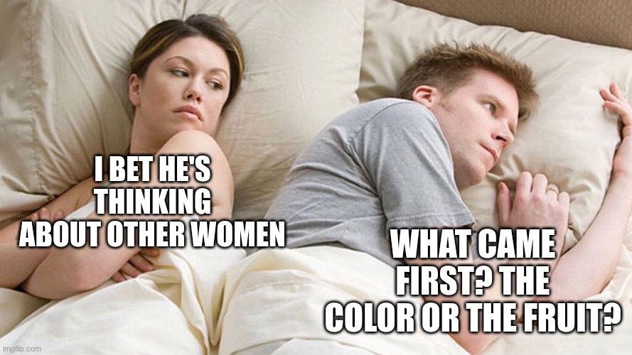 Couple in bed |  I BET HE'S THINKING ABOUT OTHER WOMEN; WHAT CAME FIRST? THE COLOR OR THE FRUIT? | image tagged in couple in bed,orange,color,fruit,meme | made w/ Imgflip meme maker