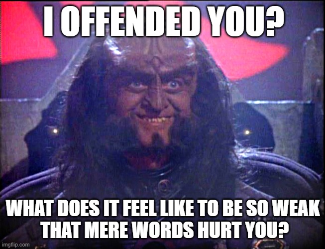 gowron offended you | I OFFENDED YOU? WHAT DOES IT FEEL LIKE TO BE SO WEAK
 THAT MERE WORDS HURT YOU? | image tagged in gowron is pleased enhanced,offended,mere words,viking | made w/ Imgflip meme maker