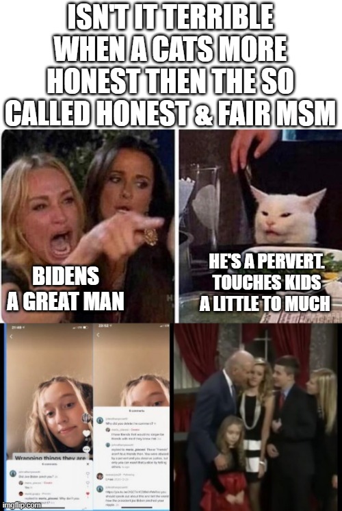 TOUCHT JOE pervert | ISN'T IT TERRIBLE WHEN A CATS MORE HONEST THEN THE SO CALLED HONEST & FAIR MSM; BIDENS A GREAT MAN; HE'S A PERVERT. TOUCHES KIDS A LITTLE TO MUCH | image tagged in lady screams at cat | made w/ Imgflip meme maker