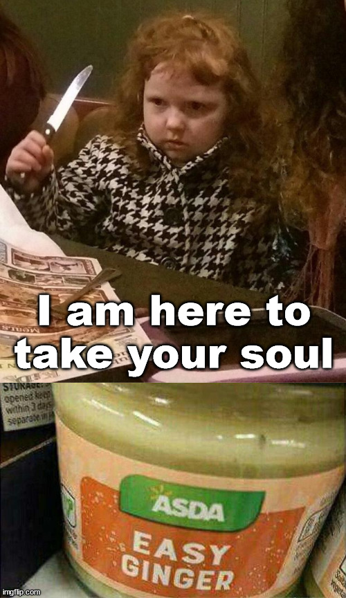 I am here to take your soul | image tagged in angry ginger girl | made w/ Imgflip meme maker