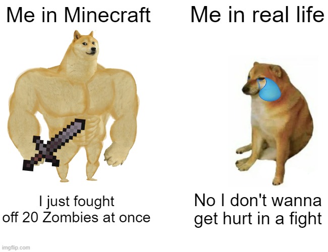Minecraft vs Real Life |  Me in real life; Me in Minecraft; I just fought off 20 Zombies at once; No I don't wanna get hurt in a fight | image tagged in memes,buff doge vs cheems | made w/ Imgflip meme maker