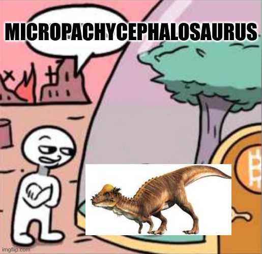 micropachycephalosaurus | MICROPACHYCEPHALOSAURUS | image tagged in amogus,dinosaurs,funny memes | made w/ Imgflip meme maker