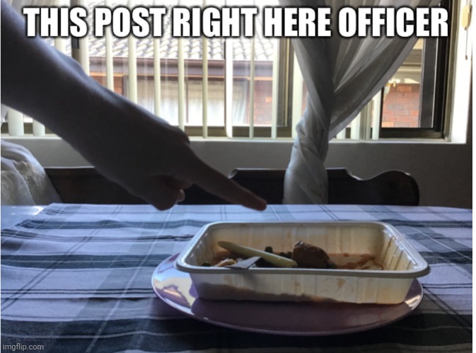 This post right here officer | image tagged in this post right here officer | made w/ Imgflip meme maker