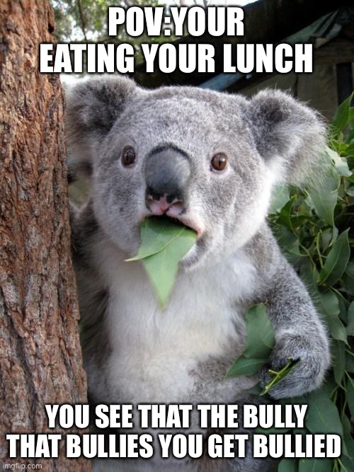 Surprised koalla |  POV:YOUR EATING YOUR LUNCH; YOU SEE THAT THE BULLY THAT BULLIES YOU GET BULLIED | image tagged in memes,surprised koala | made w/ Imgflip meme maker