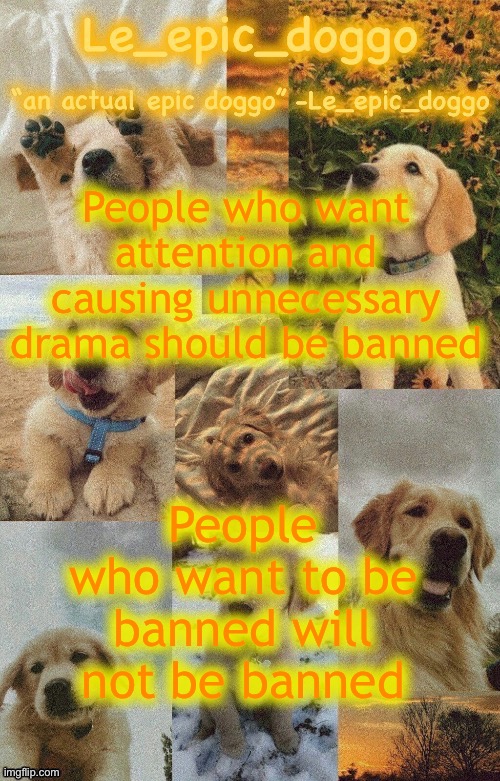 Let them suffer | People who want attention and causing unnecessary drama should be banned; People who want to be banned will not be banned | image tagged in doggo temp by doggo wait what that s confusing | made w/ Imgflip meme maker