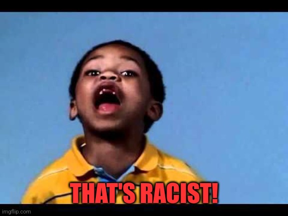 That's racist 2 | THAT'S RACIST! | image tagged in that's racist 2 | made w/ Imgflip meme maker