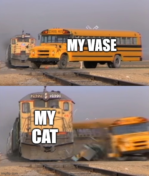 A train hitting a school bus | MY VASE; MY CAT | image tagged in a train hitting a school bus | made w/ Imgflip meme maker