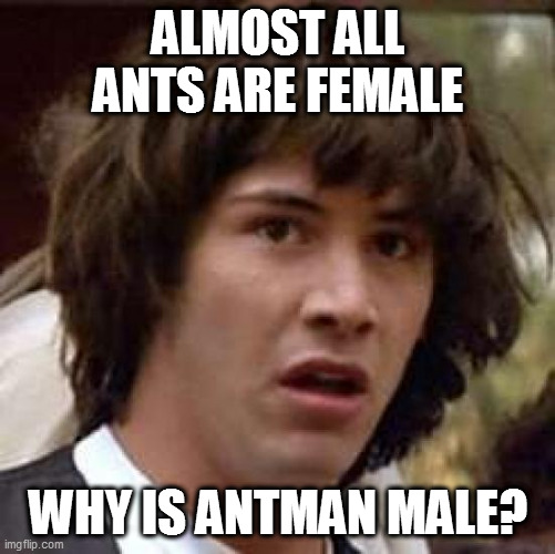 antwoman | ALMOST ALL ANTS ARE FEMALE; WHY IS ANTMAN MALE? | image tagged in memes,conspiracy keanu | made w/ Imgflip meme maker