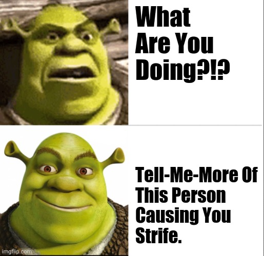 Oh, Shrek. You're The Hero That They Need. |  What Are You Doing?!? Tell-Me-More Of
This Person 
Causing You 
Strife. | image tagged in shrek,hotline bling,at first i was like | made w/ Imgflip meme maker