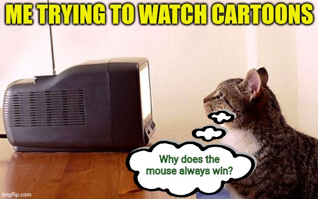 I've got no idea what's going on | ME TRYING TO WATCH CARTOONS Why does the mouse always win? | image tagged in cat watching tv,cat,mouse,tv show | made w/ Imgflip meme maker