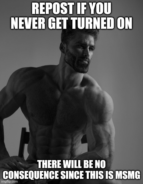 Giga Chad | REPOST IF YOU NEVER GET TURNED ON; THERE WILL BE NO CONSEQUENCE SINCE THIS IS MSMG | image tagged in giga chad | made w/ Imgflip meme maker