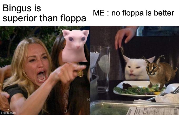 Floppa > bingus | Bingus is superior than floppa; ME : no floppa is better | image tagged in memes,woman yelling at cat | made w/ Imgflip meme maker