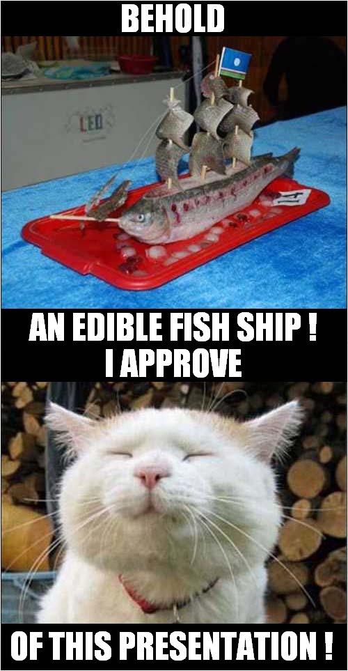 A Fishy Display ! | BEHOLD; AN EDIBLE FISH SHIP !
I APPROVE; OF THIS PRESENTATION ! | image tagged in cats,fish,ship,presentation,shironeko | made w/ Imgflip meme maker