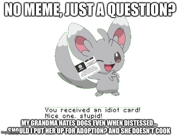 Dumb Grandma | NO MEME, JUST A QUESTION? MY GRANDMA HATES DOGS EVEN WHEN DISTESSED… SHOULD I PUT HER UP FOR ADOPTION? AND SHE DOESN’T COOK | image tagged in memes | made w/ Imgflip meme maker