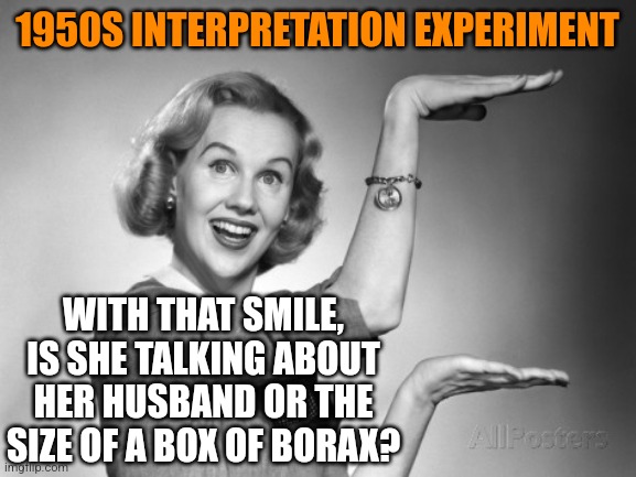 This is like that glass half full/half empty image right? | 1950S INTERPRETATION EXPERIMENT; WITH THAT SMILE, IS SHE TALKING ABOUT HER HUSBAND OR THE SIZE OF A BOX OF BORAX? | image tagged in blond 1950s salesgirl,dirty mind,positive thinking,thinking,interesting | made w/ Imgflip meme maker