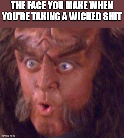 Face You Make When Taking A Wicked Shit | THE FACE YOU MAKE WHEN YOU'RE TAKING A WICKED SHIT | image tagged in that face you make when,the face you make,taking a shit,pooping,funny,memes | made w/ Imgflip meme maker