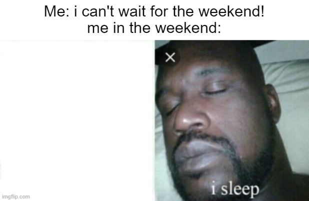 Me: i can't wait for the weekend!
me in the weekend: | made w/ Imgflip meme maker