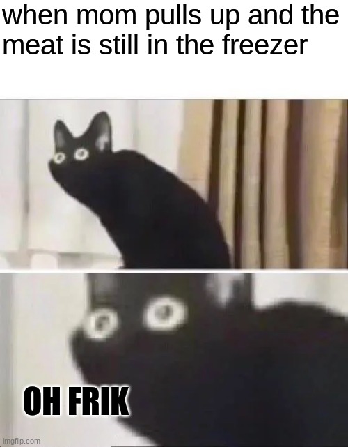 ... | when mom pulls up and the meat is still in the freezer; OH FRIK | image tagged in oh no black cat | made w/ Imgflip meme maker