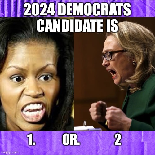Choice | 2024 DEMOCRATS CANDIDATE IS; 1.           OR.              2 | image tagged in yikes,memes,funny,happy | made w/ Imgflip meme maker