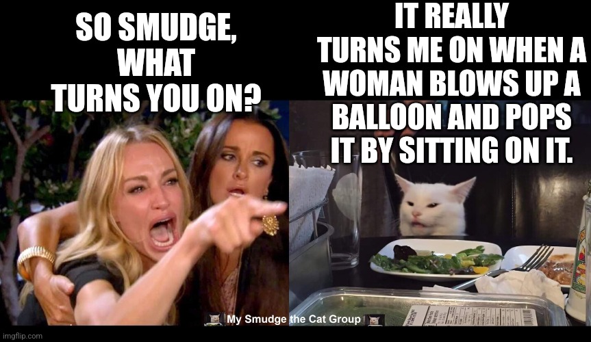 IT REALLY TURNS ME ON WHEN A WOMAN BLOWS UP A BALLOON AND POPS IT BY SITTING ON IT. SO SMUDGE, WHAT TURNS YOU ON? | image tagged in smudge the cat | made w/ Imgflip meme maker