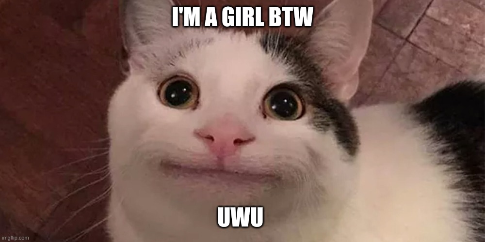Beluga |  I'M A GIRL BTW; UWU | image tagged in beluga | made w/ Imgflip meme maker