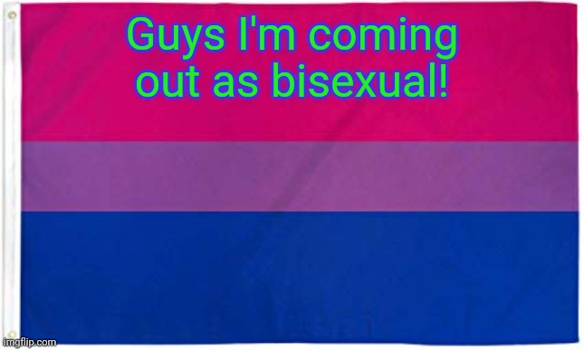 Bisexual Flag | Guys I'm coming out as bisexual! | image tagged in bisexual flag | made w/ Imgflip meme maker