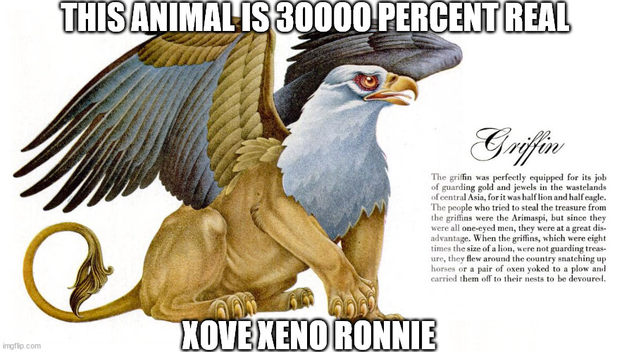 BEST MEME EVER FROM XENO RONNIE | THIS ANIMAL IS 3OOOO PERCENT REAL; XOVE XENO RONNIE | image tagged in we worship morriresy | made w/ Imgflip meme maker