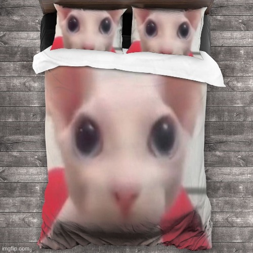 Bingus Bedsheet | image tagged in bingus,shitpost | made w/ Imgflip meme maker