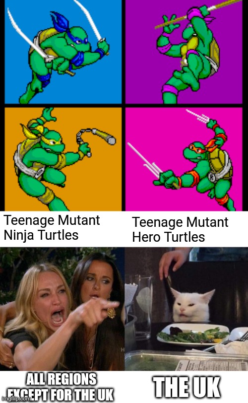Teenage Mutant Ninja Turtles, or Teenage Mutant Hero Turtles? | Teenage Mutant Ninja Turtles; Teenage Mutant Hero Turtles; ALL REGIONS EXCEPT FOR THE UK; THE UK | image tagged in memes,woman yelling at cat | made w/ Imgflip meme maker