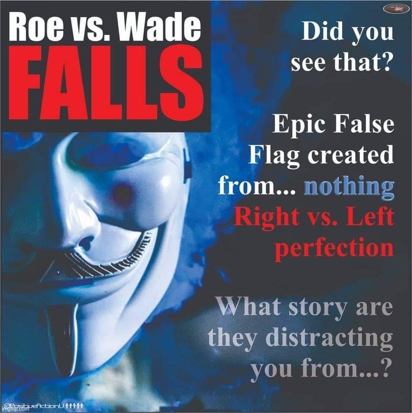 “Roe v. Wade’s demise is a false flag” is one of the most galaxy-brain takes I’ve seen | image tagged in roe v wade falls | made w/ Imgflip meme maker