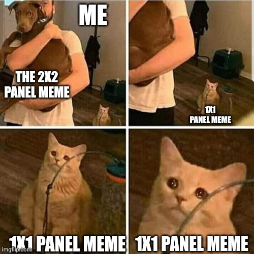 All I need is just a 1x1 panel meme | ME; THE 2X2 PANEL MEME; 1X1 PANEL MEME; 1X1 PANEL MEME; 1X1 PANEL MEME | image tagged in sad cat holding dog,memes,funny | made w/ Imgflip meme maker