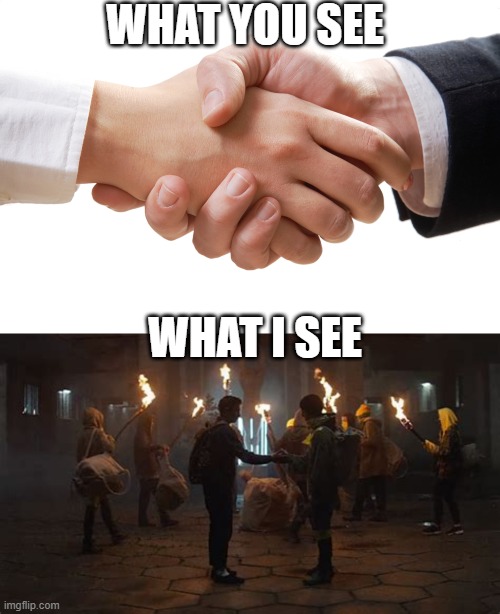WHAT YOU SEE; WHAT I SEE | image tagged in shaking hands,funny,memes,twenty one pilots,top | made w/ Imgflip meme maker