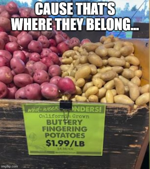 Finger Me | CAUSE THAT'S WHERE THEY BELONG... | image tagged in you had one job | made w/ Imgflip meme maker