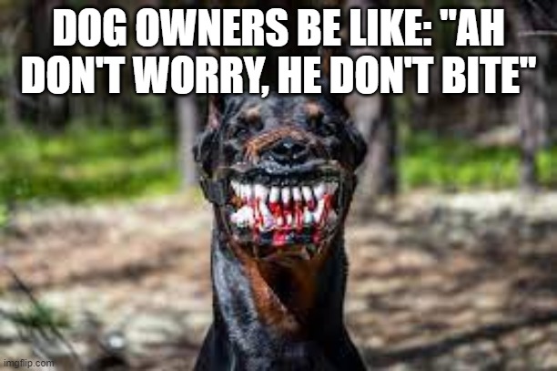 DOG OWNERS BE LIKE: "AH DON'T WORRY, HE DON'T BITE" | made w/ Imgflip meme maker