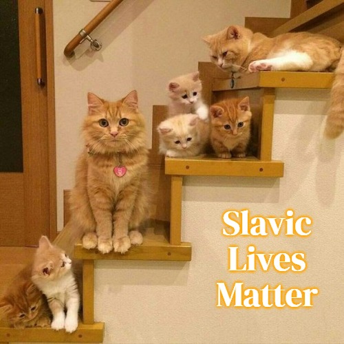 Cats “R”Us | Slavic Lives Matter | image tagged in cats r us,slavic | made w/ Imgflip meme maker