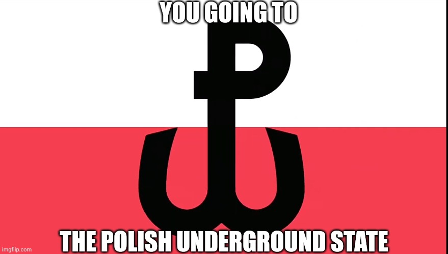 YOU GOING TO; THE POLISH UNDERGROUND STATE | made w/ Imgflip meme maker