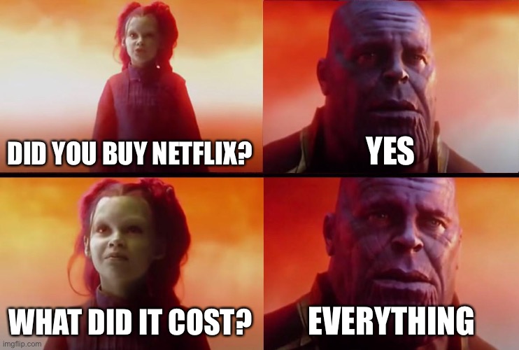 thanos what did it cost | DID YOU BUY NETFLIX? YES; WHAT DID IT COST? EVERYTHING | image tagged in thanos what did it cost,marvel,avengers infinity war,thanos | made w/ Imgflip meme maker