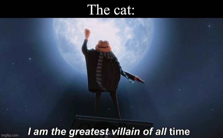 i am the greatest villain of all time | The cat: | image tagged in i am the greatest villain of all time | made w/ Imgflip meme maker
