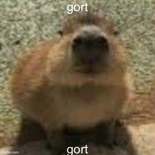 gort | gort; gort | image tagged in gort | made w/ Imgflip meme maker