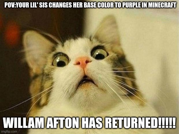WILLIAM AFTON!!!! | POV:YOUR LIL' SIS CHANGES HER BASE COLOR TO PURPLE IN MINECRAFT; WILLAM AFTON HAS RETURNED!!!!! | image tagged in memes,scared cat | made w/ Imgflip meme maker