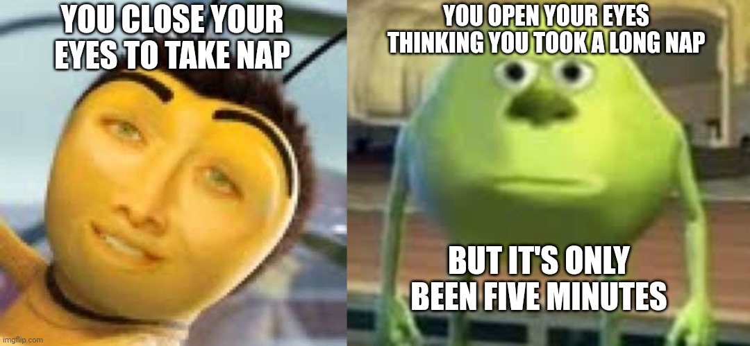nap | YOU CLOSE YOUR EYES TO TAKE NAP; YOU OPEN YOUR EYES THINKING YOU TOOK A LONG NAP; BUT IT'S ONLY BEEN FIVE MINUTES | image tagged in memes | made w/ Imgflip meme maker