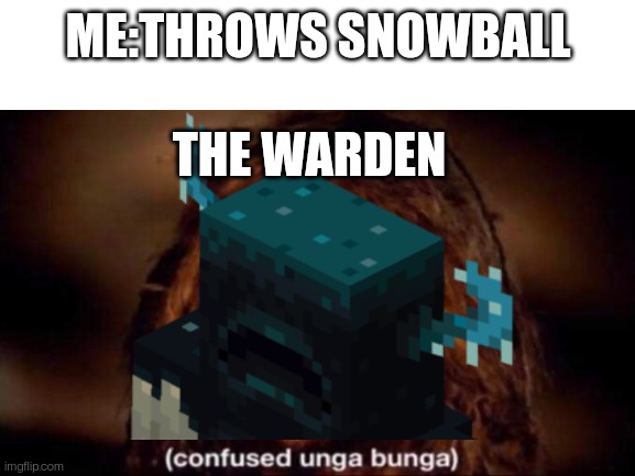 Warden+snowball = confused warden | ME:THROWS SNOWBALL; THE WARDEN | image tagged in minecraft memes | made w/ Imgflip meme maker
