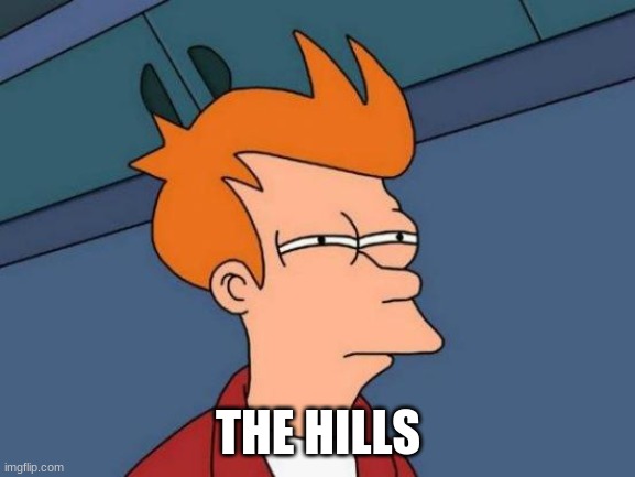 The Hills | THE HILLS | image tagged in memes,futurama fry | made w/ Imgflip meme maker