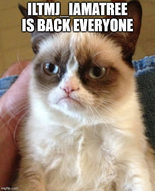 Grumpy Cat | ILTMJ_IAMATREE IS BACK EVERYONE | image tagged in memes,grumpy cat | made w/ Imgflip meme maker