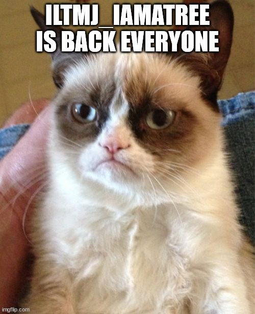 Grumpy Cat Meme | ILTMJ_IAMATREE IS BACK EVERYONE | image tagged in memes,grumpy cat | made w/ Imgflip meme maker