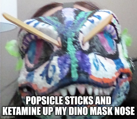 POPSICLE STICKS AND KETAMINE UP MY DINO MASK NOSE | made w/ Imgflip meme maker