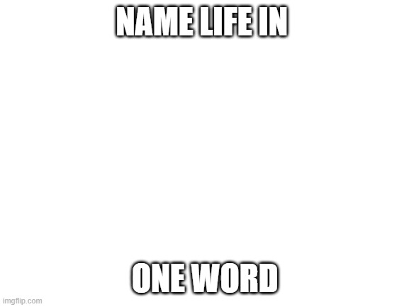 challenge | NAME LIFE IN; ONE WORD | image tagged in blank white template,memes,life,never gonna give you up | made w/ Imgflip meme maker