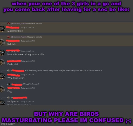 Im just confused honestly | when your one of the 3 girls in a gc and you come back after leaving for a sec be like:; BUT WHY ARE BIRDS MASTURBATING PLEASE IM CONFUSED ;-; | made w/ Imgflip meme maker