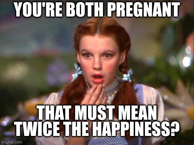 Dorothy | YOU'RE BOTH PREGNANT THAT MUST MEAN TWICE THE HAPPINESS? | image tagged in dorothy | made w/ Imgflip meme maker
